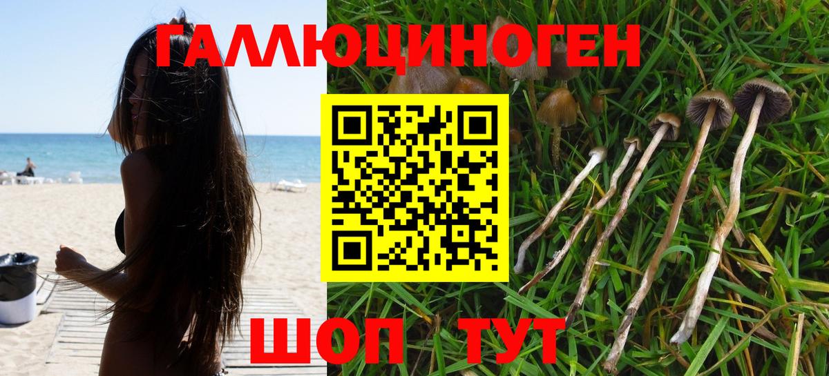 Рузаевка  Псилоцибиновые грибы GOLDEN TEACHER  Вход с VPN 