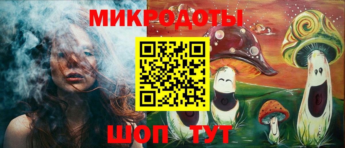Галлюциногенные грибы Psilocybine cubensis Рузаевка